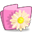 beige flower folder icon